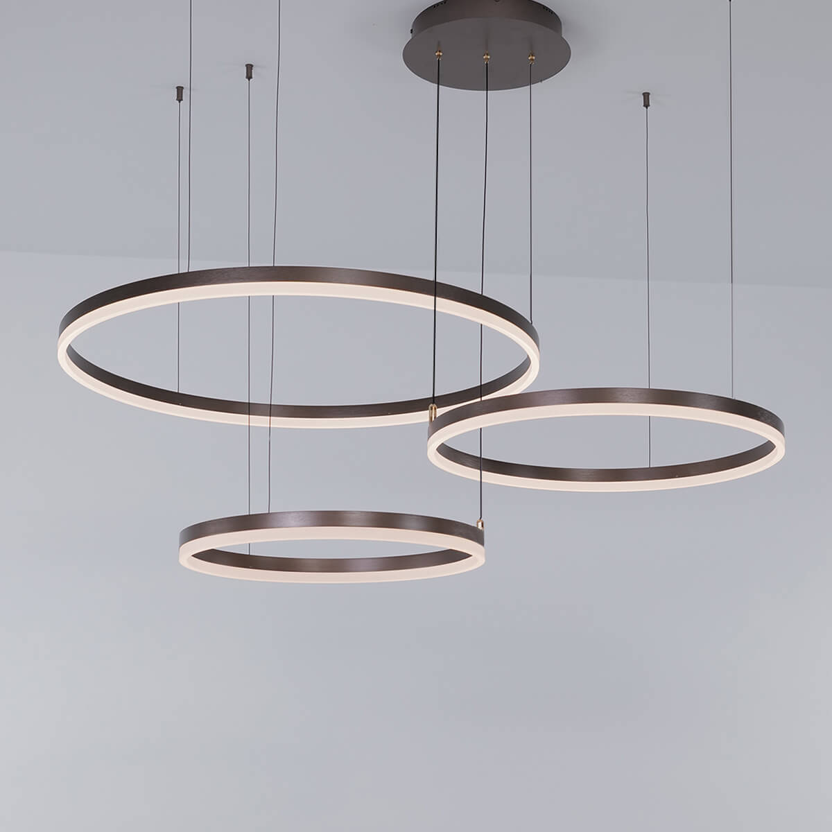 Nordic Rings • Brown • 50CM + 60CM + 80CM + 100CM - Warehouse Sale - Chandelier - Haus of Interiors