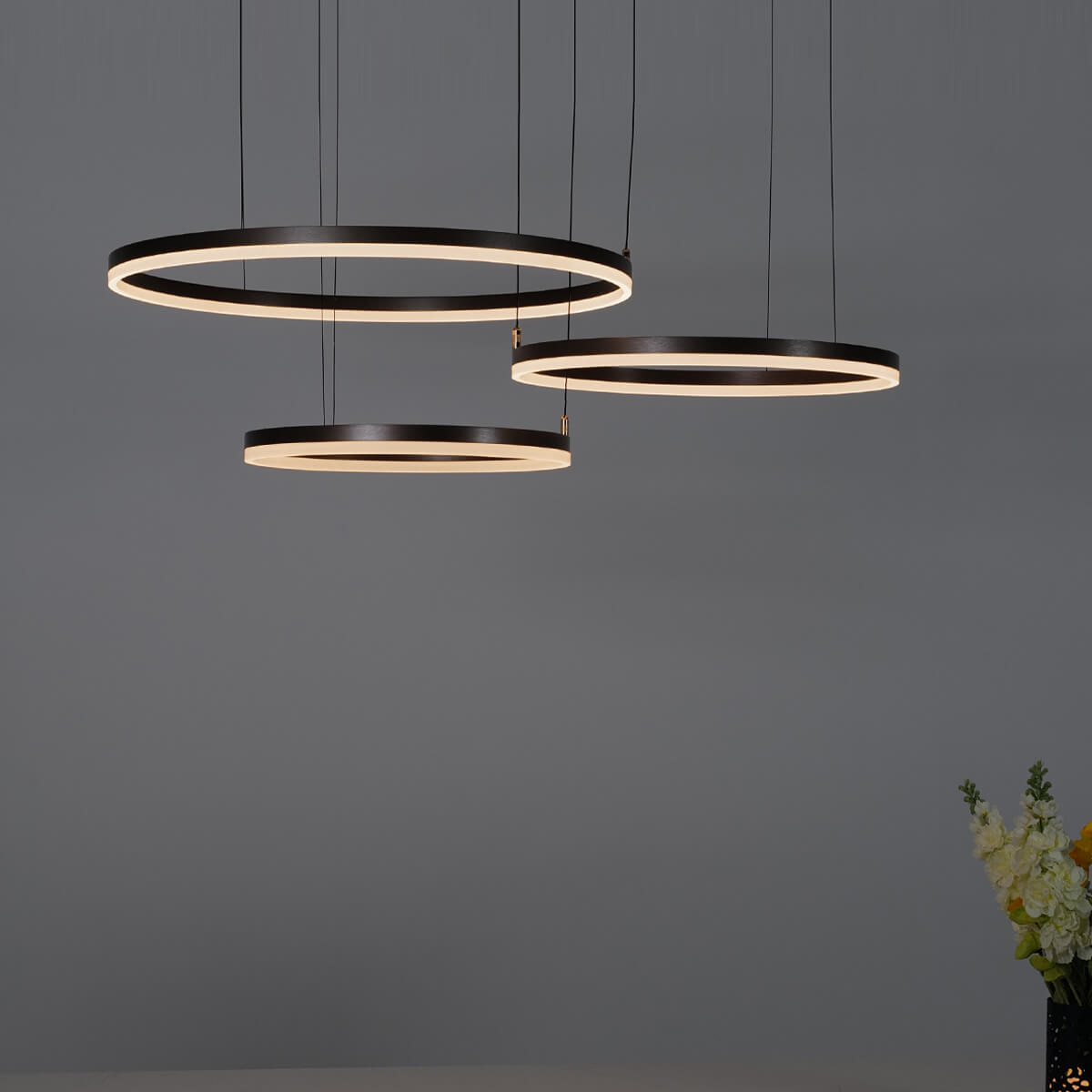 Nordic Rings • Brown • 50CM + 60CM + 80CM + 100CM - Warehouse Sale - Chandelier - Haus of Interiors